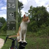 Southern Walnut Creek Trail