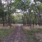 Roy G. Guerrero Colorado River Park
