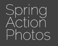 Spring Action Photos