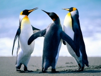 Test@123