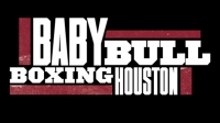 Baby Bull Boxing