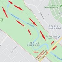 Herring Run Course Map - 2020.jpg