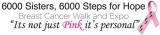 6000 Sisters, 6000 Steps for Hope Breast Cancer Walk & Expo 2014